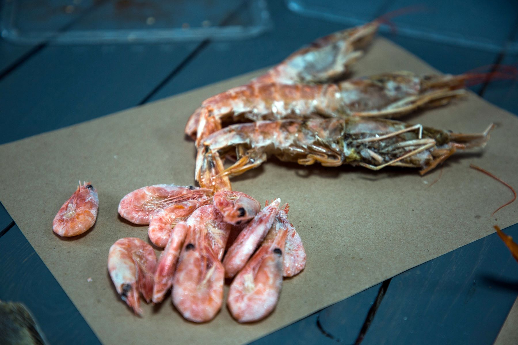 Священник рассказал, что нельзя есть на Благовещение 7 апреля