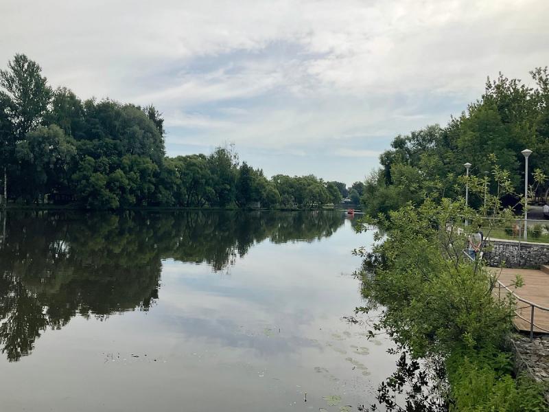 Новые правила охраны парков и рощ в Тверской области.
