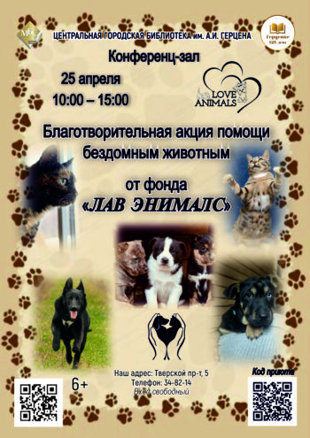 Доброе сердце в Твери: благотворительная акция для бездомных животных