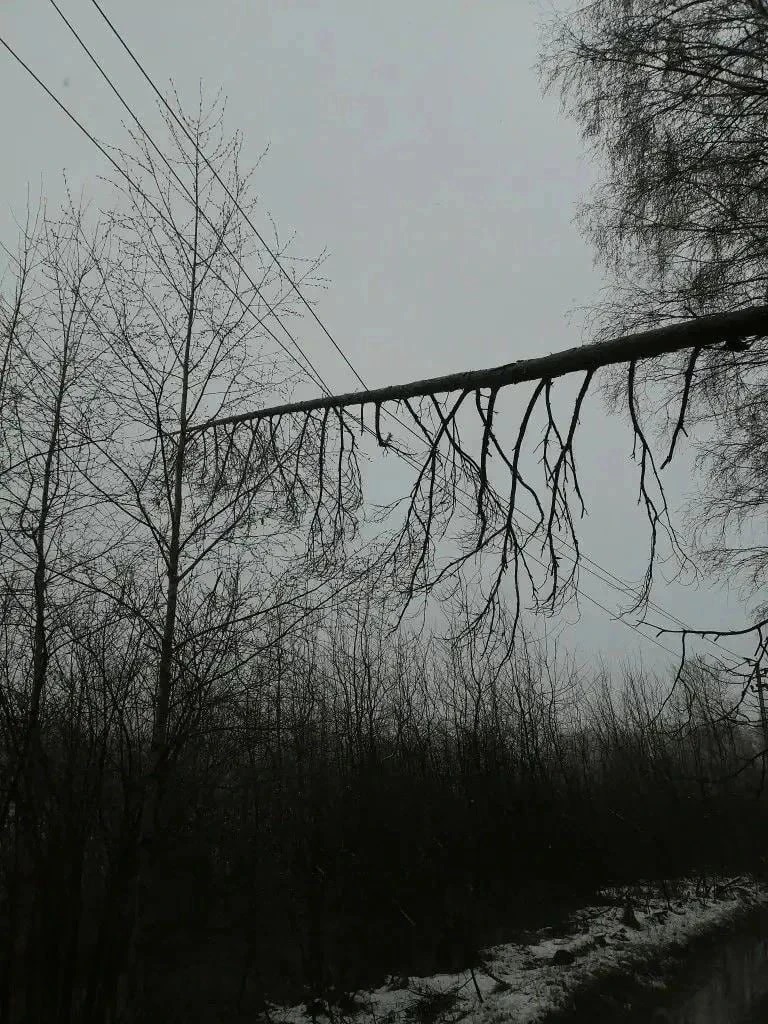 720 энергетиков ликвидируют последствия циклона в Тверской области