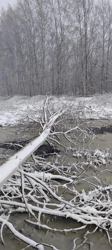 720 энергетиков ликвидируют последствия циклона в Тверской области