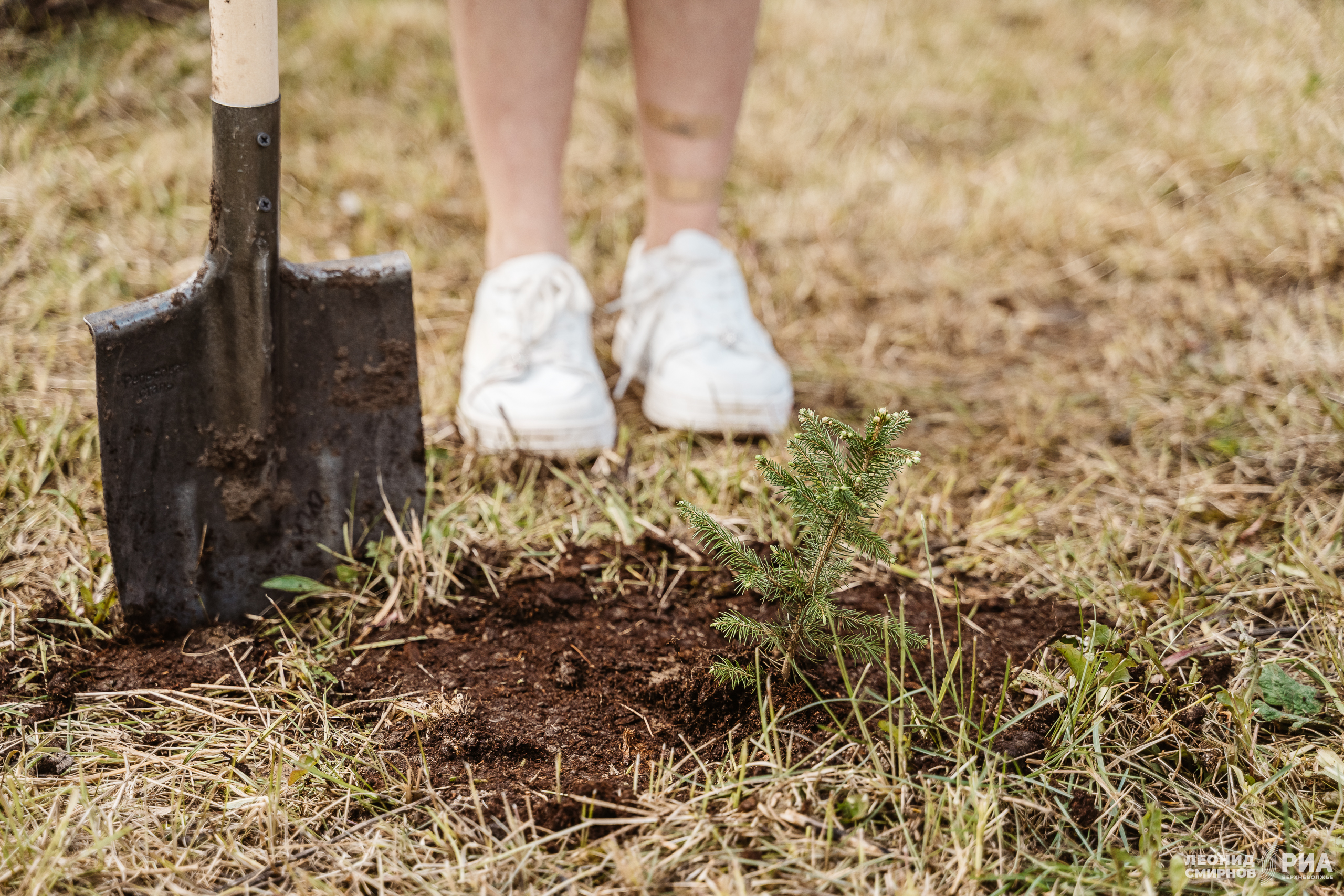 В Нелидово продолжаются субботники
