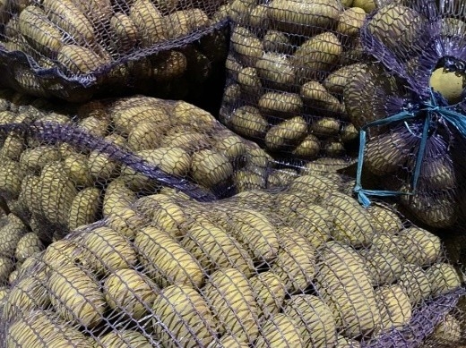 От прилавка до грядки: как купить правильный семенной картофель и не прогадать