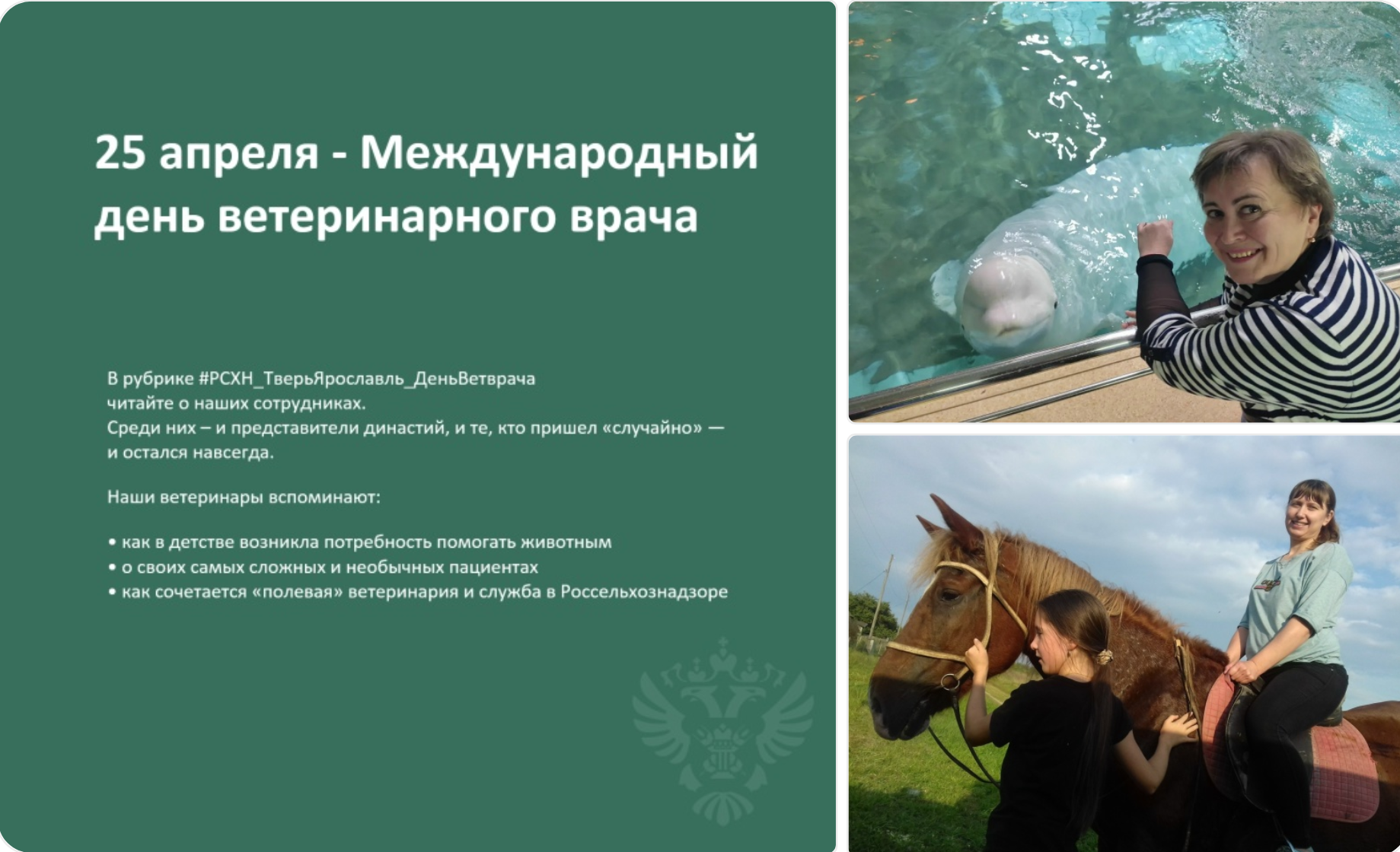 Россельхознадзор Тверской области: где ветеринарное образование служит обществу