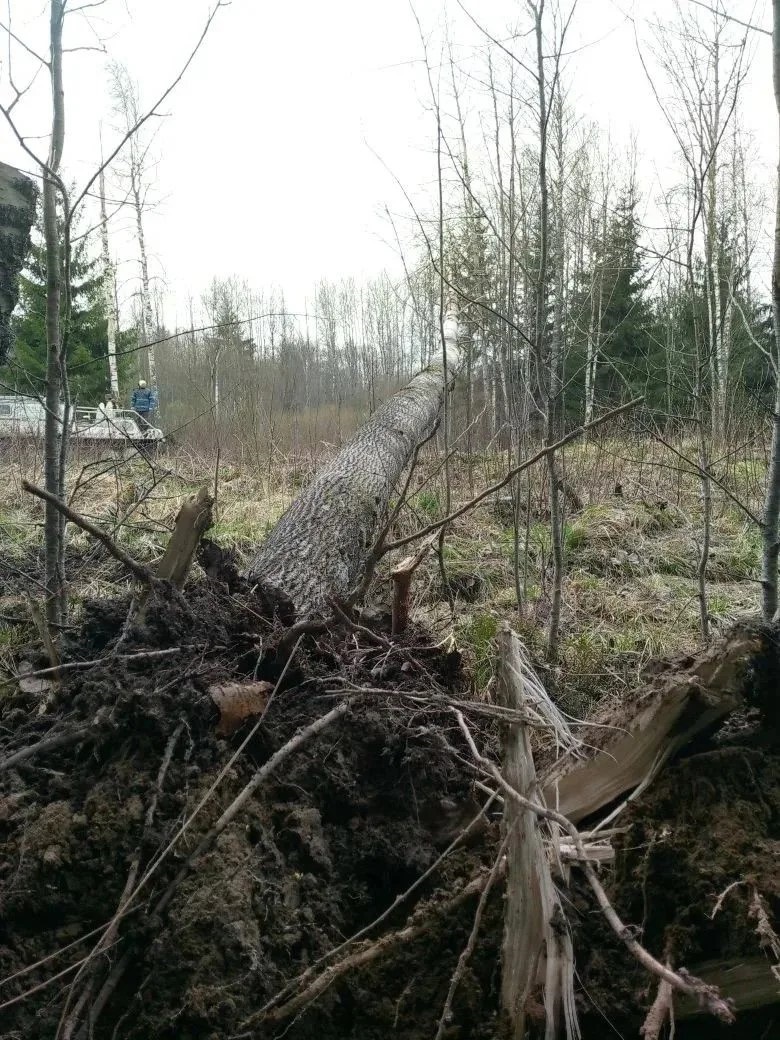 Более ста бригад энергетиков продолжают восстанавливать электроснабжение потребителей в Тверской области