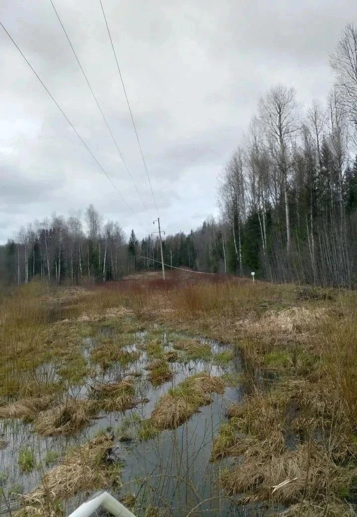 Более ста бригад энергетиков продолжают восстанавливать электроснабжение потребителей в Тверской области