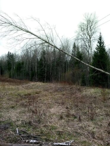 Более ста бригад энергетиков продолжают восстанавливать электроснабжение потребителей в Тверской области