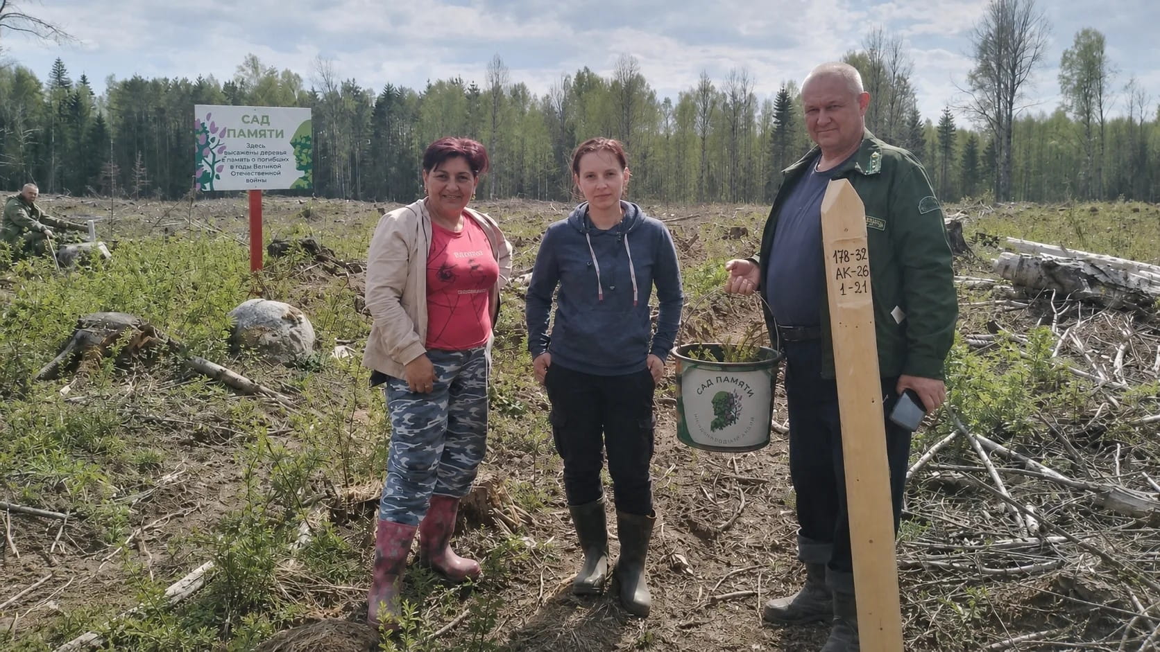 В Торопецком округе посадили молодой лес в память о герое