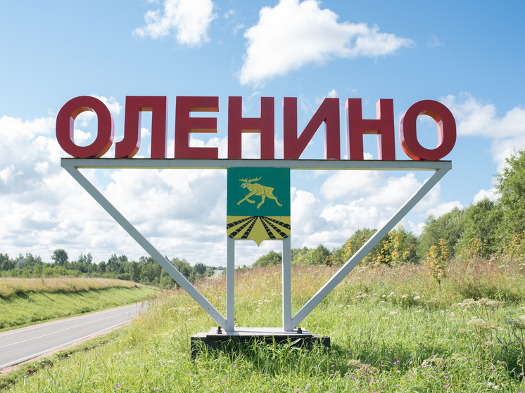 В Оленинском Доме культуры рассказали о куклах-оберегах В Оленинском Доме культуры рассказали о куклах-оберегах
