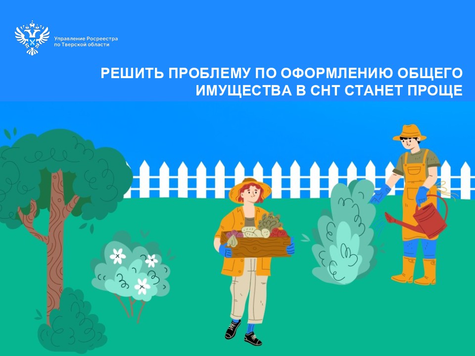 СНТ без проблем: как новый законопроект упростит оформление общего имущества