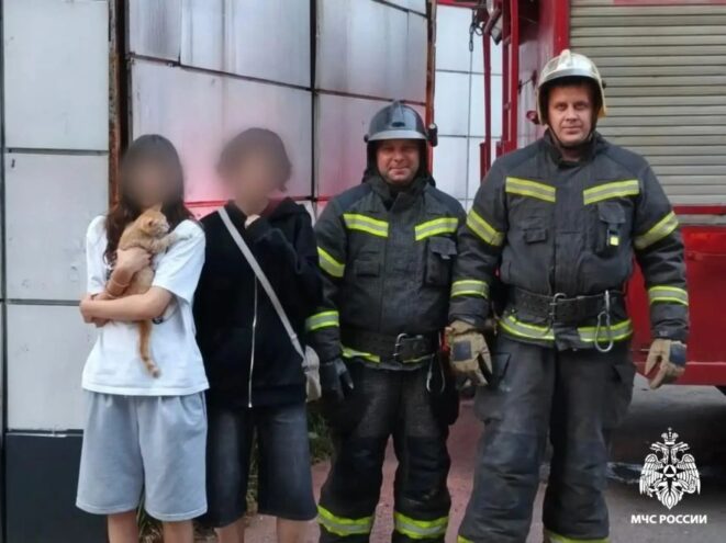 Пожарные в Тверской области спасли застрявшего кота