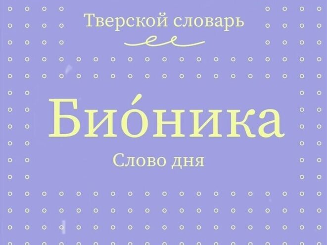 Тверской словарь пополнился новыми словами Тверской словарь пополнился новыми словами