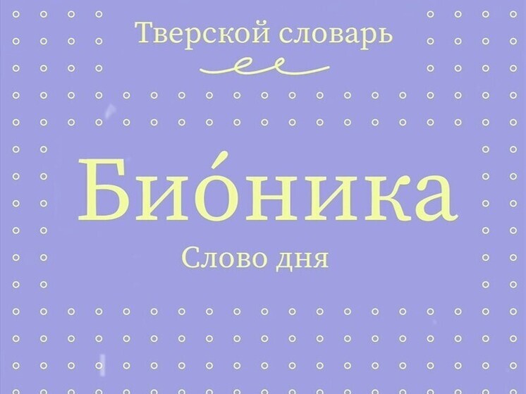 Тверской словарь пополнился новыми словами Тверской словарь пополнился новыми словами