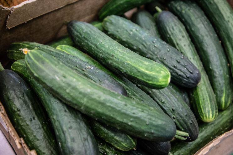 Овощная корзина дешевеет: как изменились цены на продукты в Тверской области Овощная корзина дешевеет: как изменились цены на продукты в Тверской области