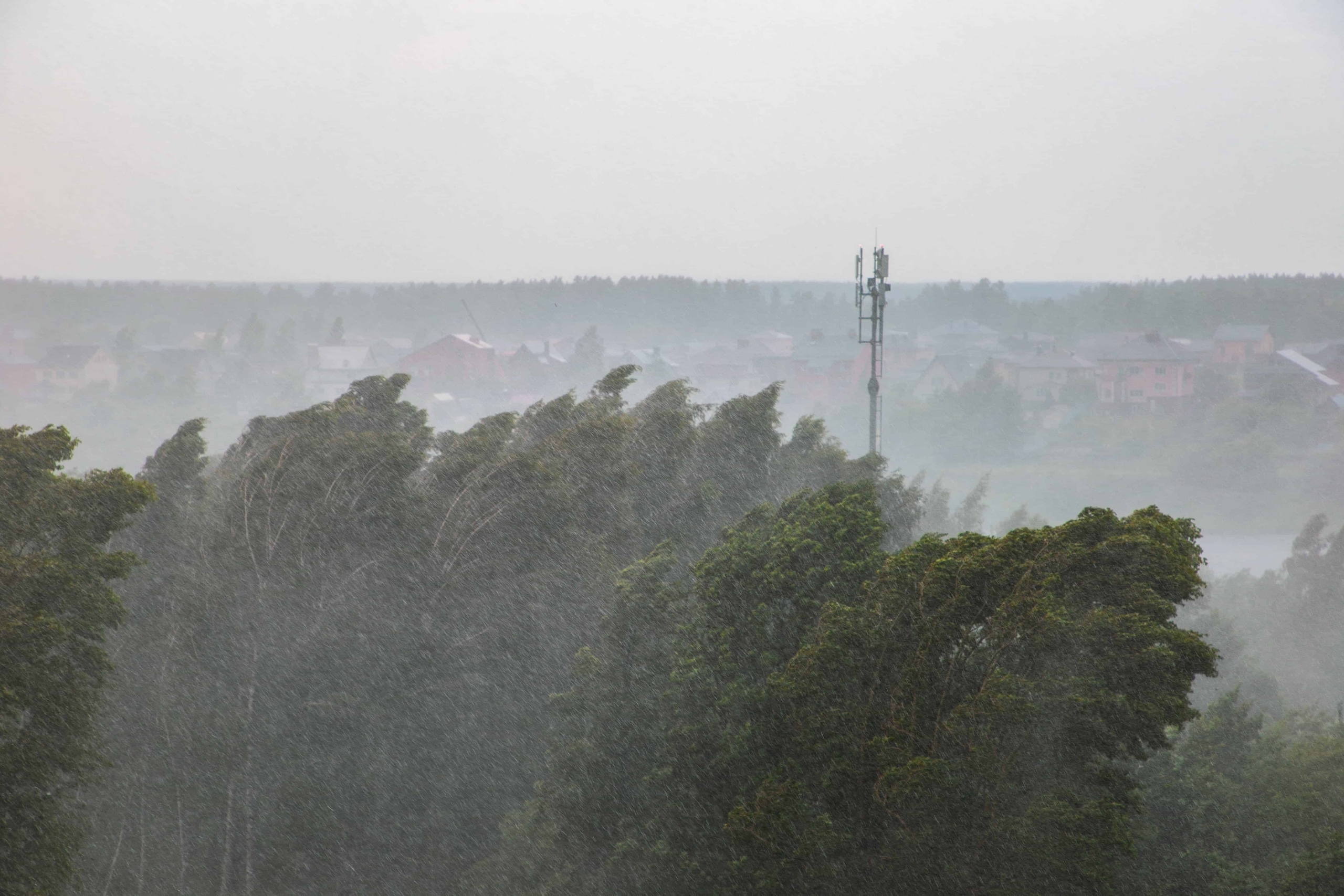 На Тверскую область надвигается гроза