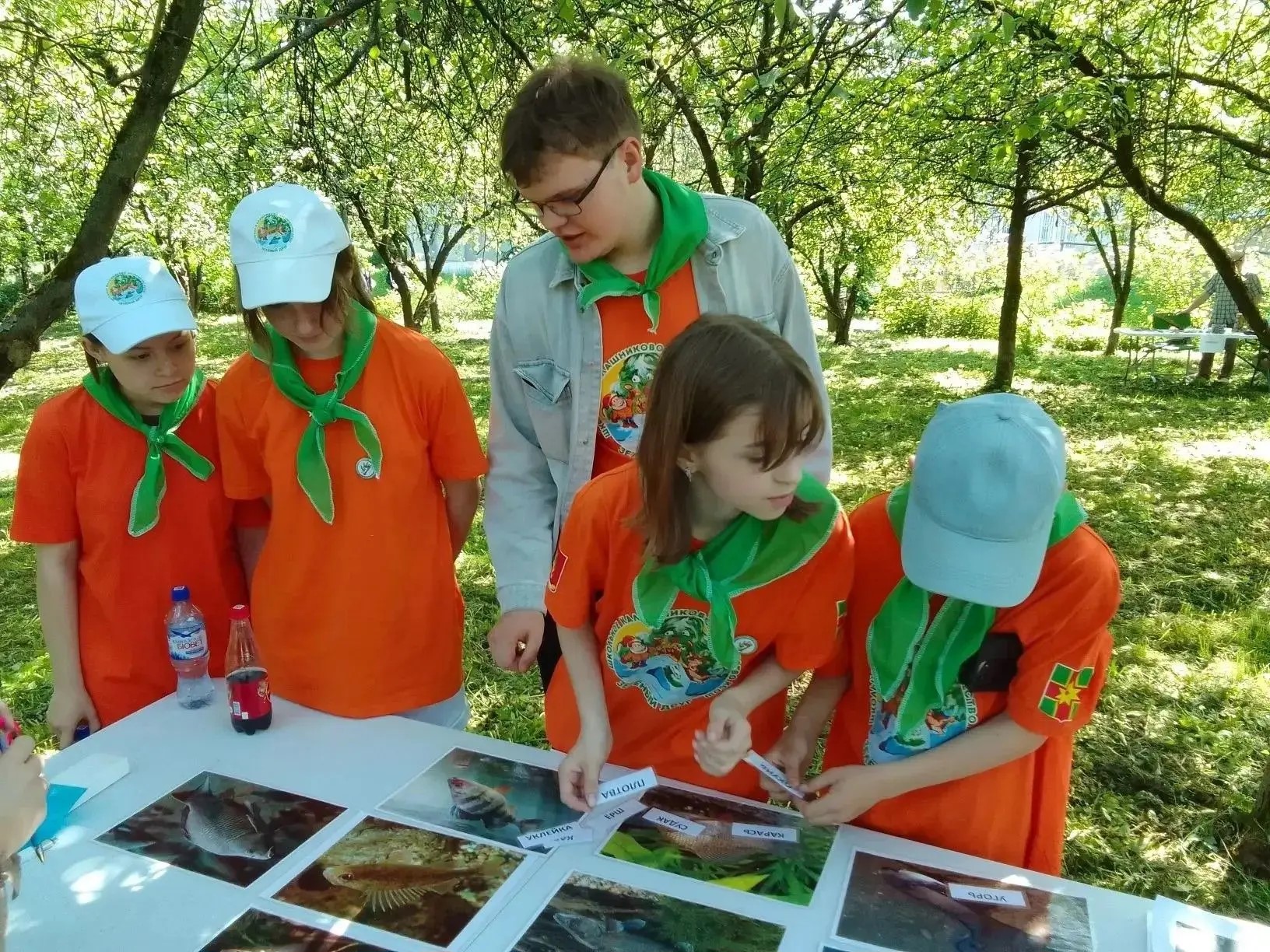 Дополнительное