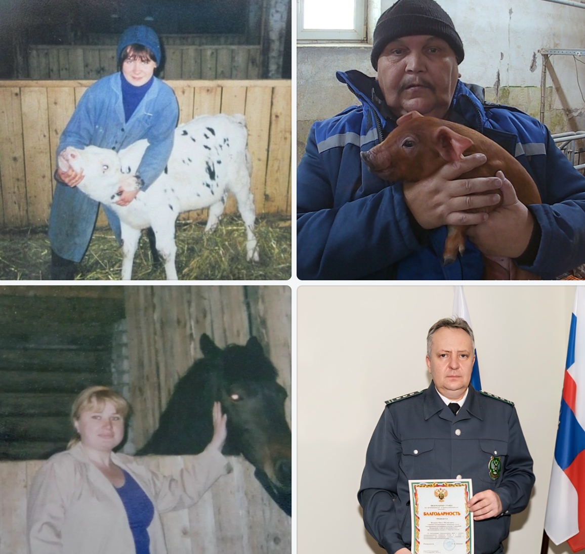 День ветеринарного работника: инспекторы Россельхознадзора вспоминают своих первых пациентов и самые непростые случаи