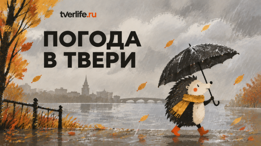 Погода в Твери на завтра