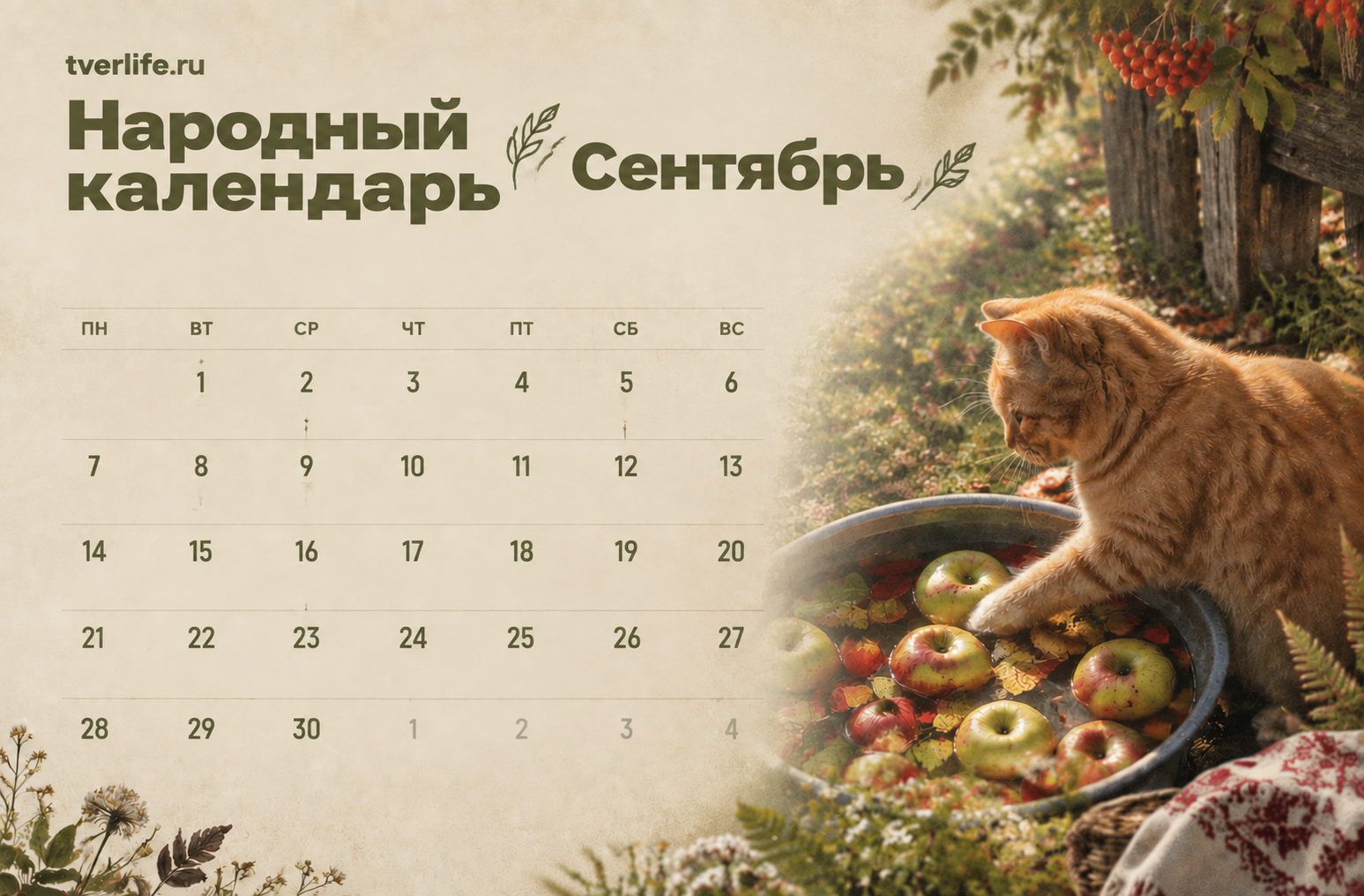 Сентябрь в народном календаре Верхневолжья