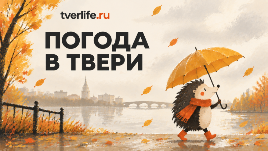 Погода в Твери на завтра Погода в Твери на завтра
