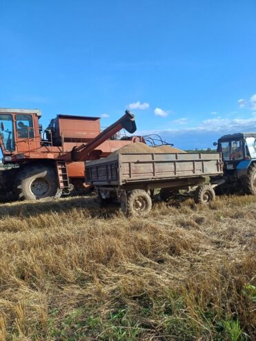 В Оленино завершили уборку зерновых культур