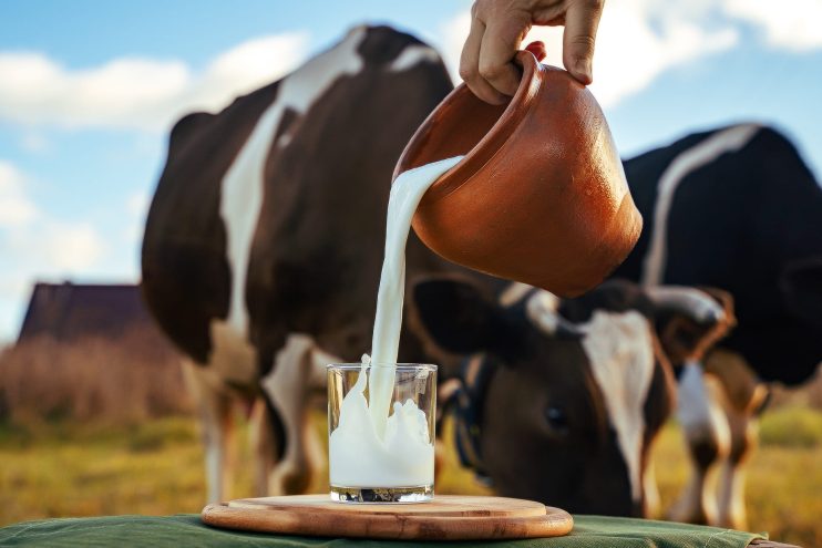 В Тверской области накрыли точку продажи сомнительной молочной продукции
