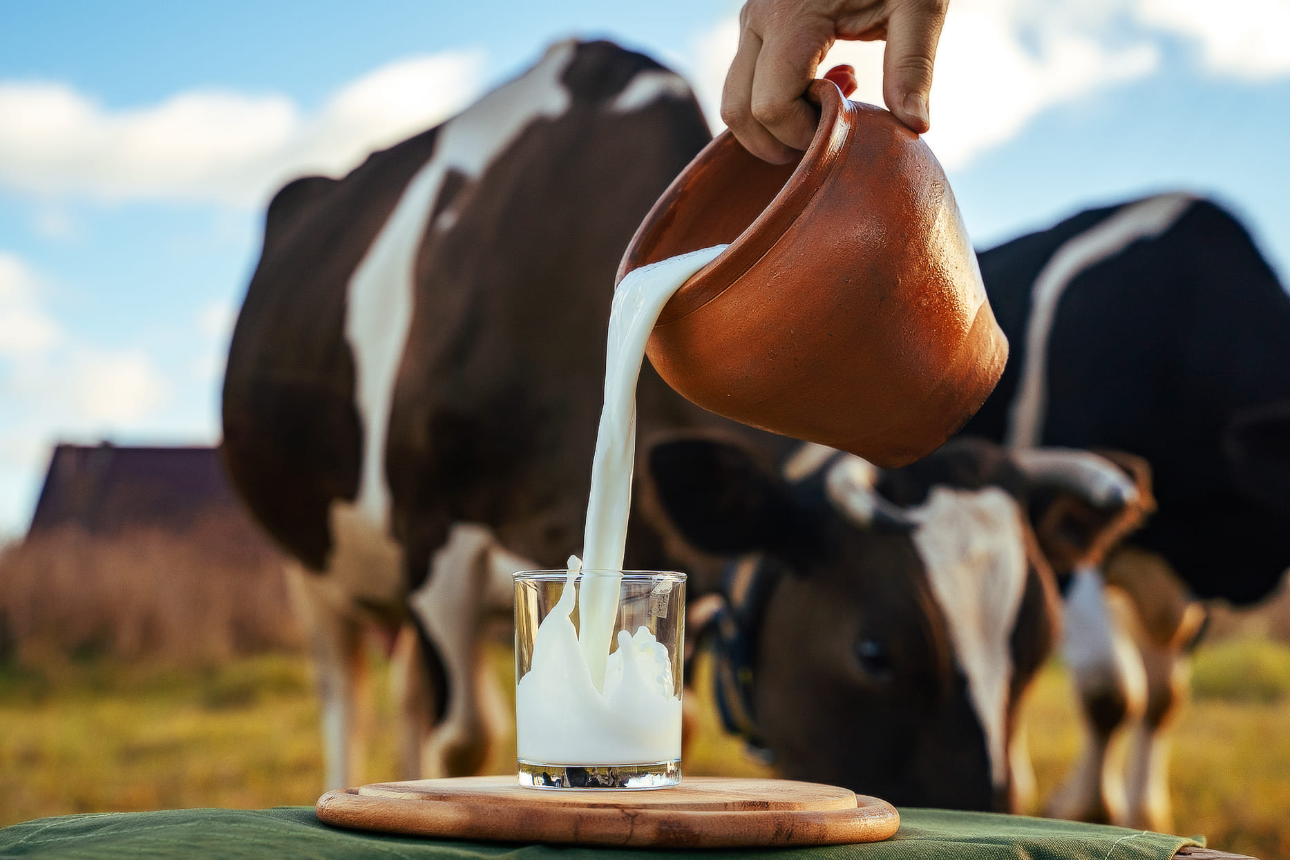 В Тверской области накрыли точку продажи сомнительной молочной продукции В Тверской области накрыли точку продажи сомнительной молочной продукции