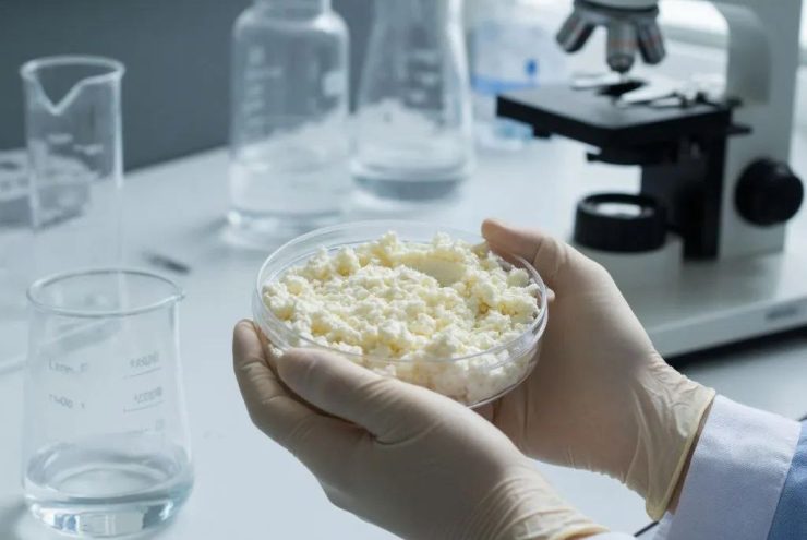 Запрещенный фермент нашли в молочной продукции специалисты Тверской испытательной лаборатории Запрещенный фермент нашли в молочной продукции специалисты Тверской испытательной лаборатории