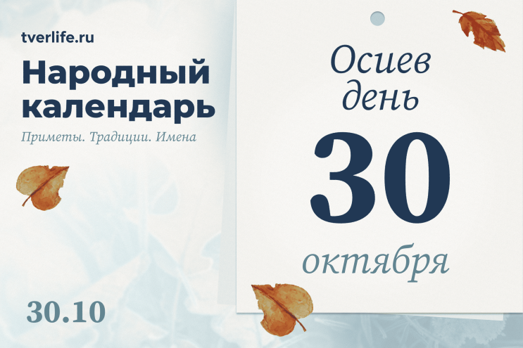 Черновик Черновик