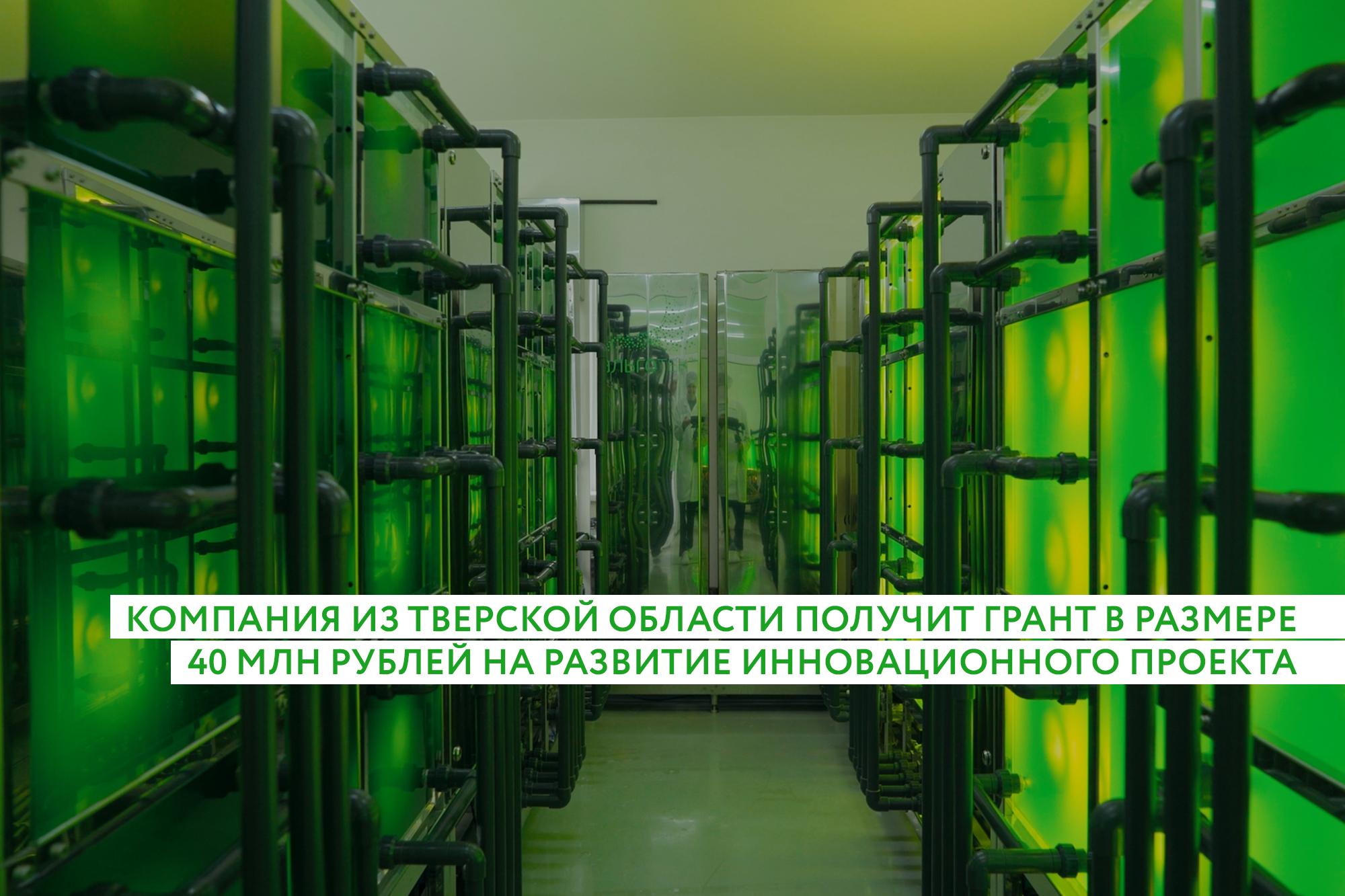 Тверская компания получит 40 млн рублей на импортозамещение Тверская компания получит 40 млн рублей на импортозамещение