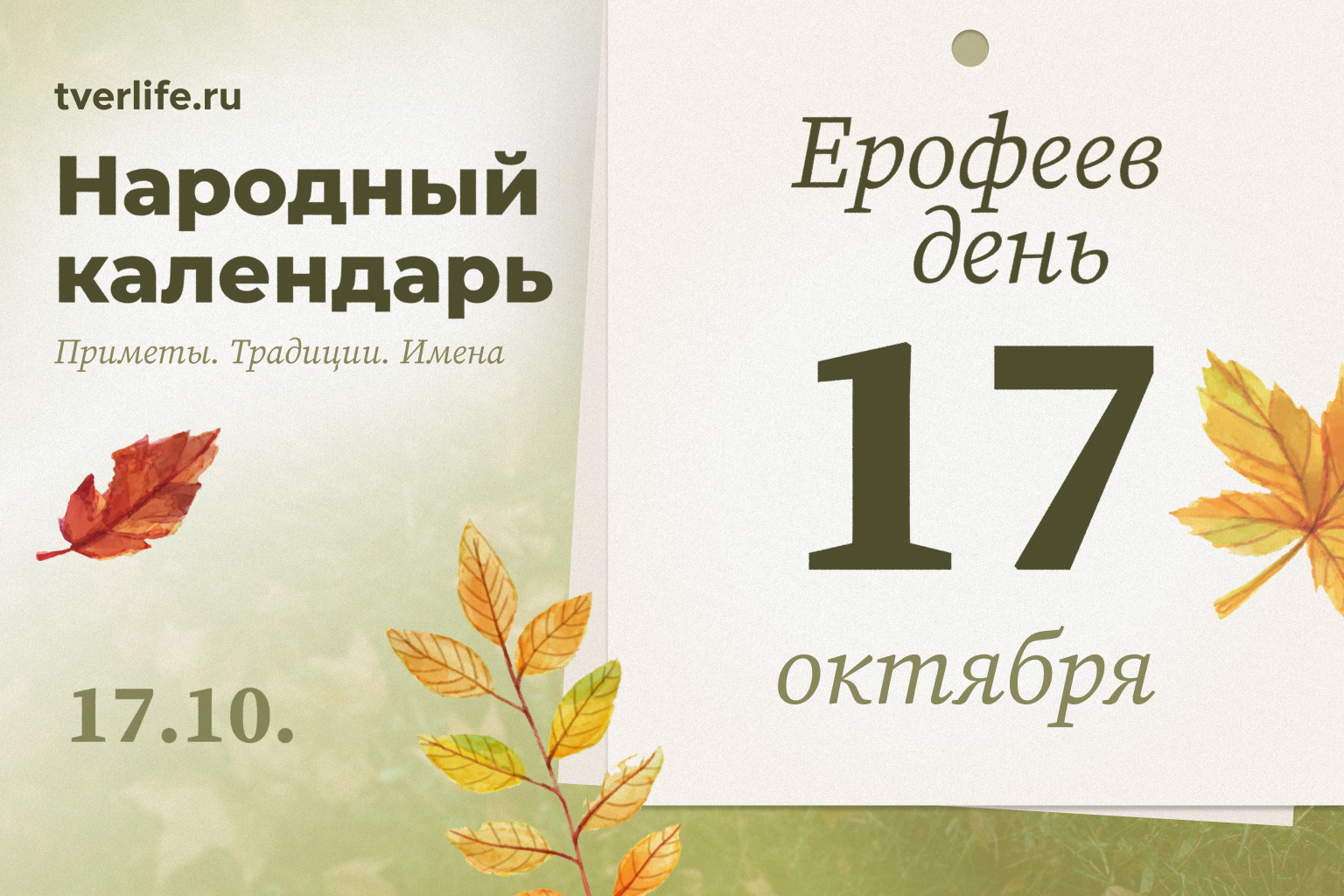 Ерофеев день закроет тверские леса 17 октября Ерофеев день закроет тверские леса 17 октября